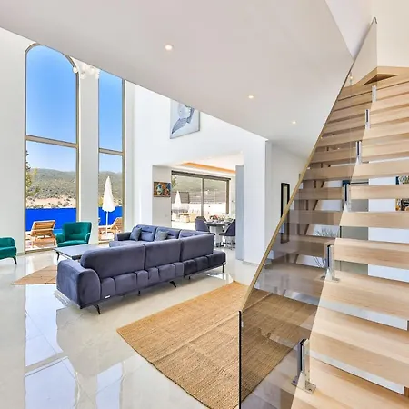 Taha فيلة كاس