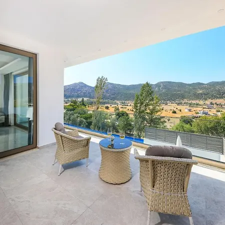 Taha فيلة كاس